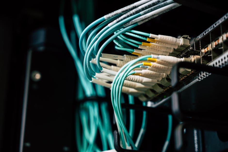 Tidy home network rack with Ethernet cables routed through a patch panel